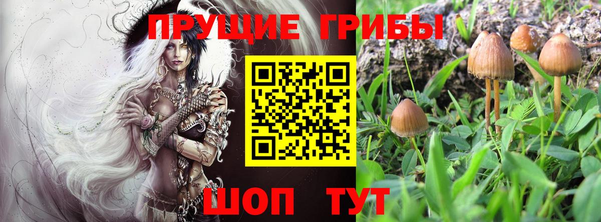 Псилоцибиновые грибы Magic Shrooms Чайковский