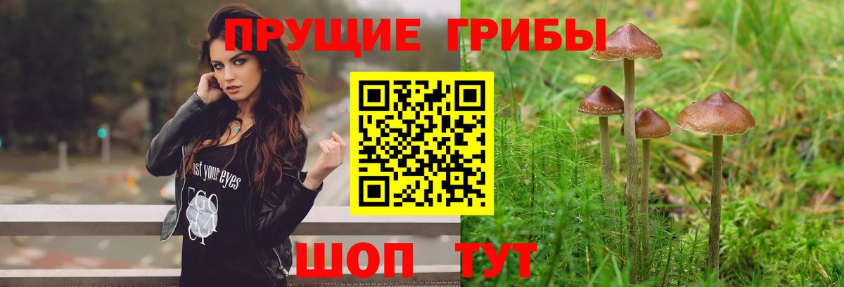 Галлюциногенные грибы ЛСД  Псилоцибиновые грибы GOLDEN TEACHER  Чайковский  Вход с VPN 